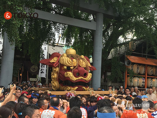 つきじ獅子祭　2017年6月11日【宮元町会】TKJSS17_005