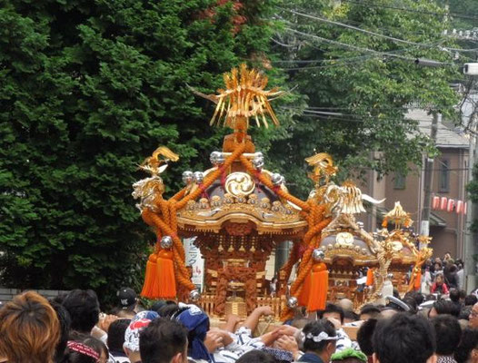 北澤八幡神社例大祭_010 ©北澤八幡秋祭り実行委員会