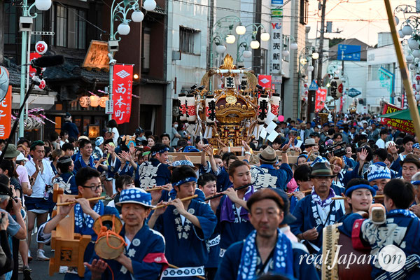 〈八重垣神社祇園祭〉女神輿連合渡御：東本町区 @2024.08.04