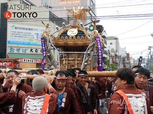 〈深川神明宮例大祭〉神輿連合渡御　一番: 森下五丁目 ＠2018.08.12　fkg18_003