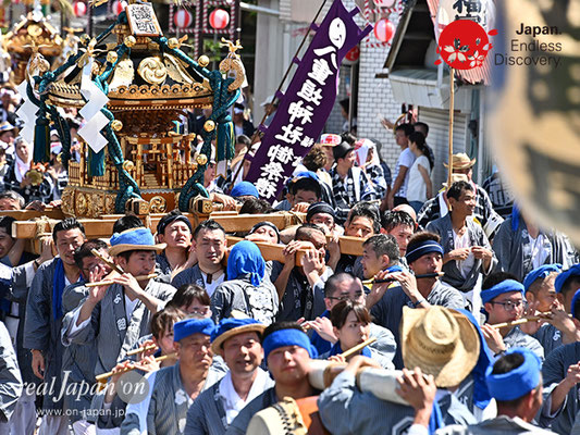 〈八重垣神社祇園祭〉神輿連合渡御：横町区 @2019.08.05 YEGK19_046