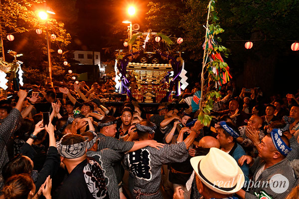 〈八重垣神社祇園祭〉神輿環御宮入：上出羽区 @2024.08.05