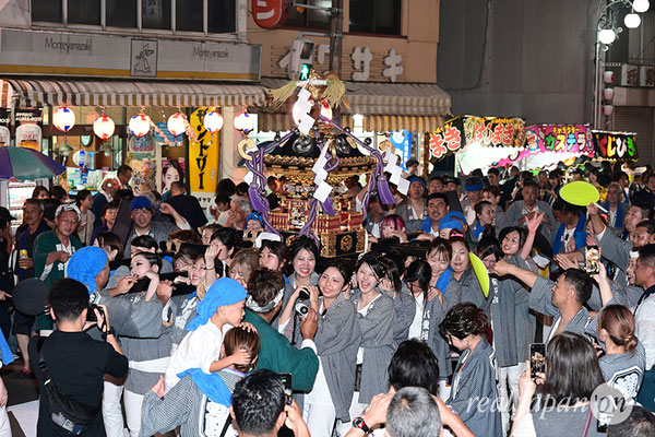 〈八重垣神社祇園祭〉女神輿連合渡御：横町区 2025.08.04