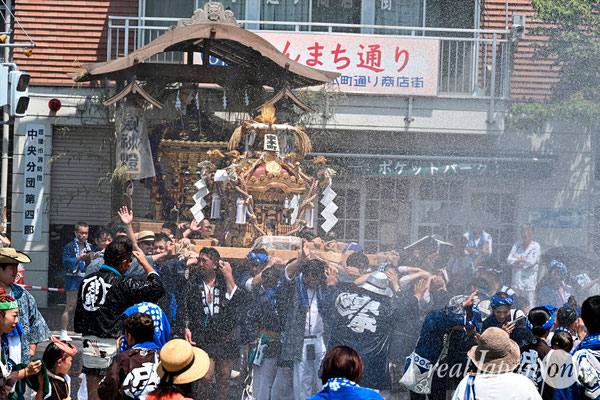 〈八重垣神社祇園祭〉十町神輿連合渡御：東本町区 @2024.08.05