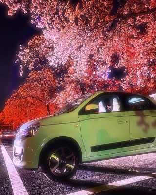 ＜s20-063＞bonita1031さん：twingo／3月27日(金)