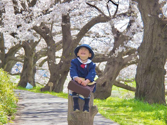 ＜s20-086＞shiho530さん：花咲み(❁´ω`❁)／4月6日(月)／鯖江市