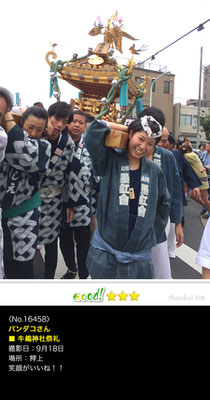 パンダコさん：牛嶋神社祭礼, 2016年9月18日,押上