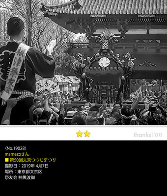 mamezoさん：第50回文京つつじまつり,神輿渡御,2019年4月7日,根津神社