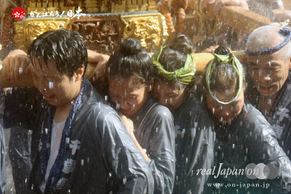 〈深川神明宮例大祭〉神輿連合渡御　十三番: 千歳三丁目 ＠2012.08.19