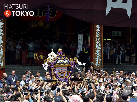 町内神輿連合渡御〈浅草中央〉@2017.05.20 (snj17-029)　ⓒm.kataoka