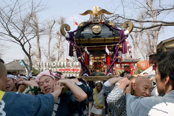 〈手作り大神輿〉台輪寸法 三尺七寸／屋根幅 約150cm／重量 約1t／鳳凰のみ 浅草 宮元卯之助製