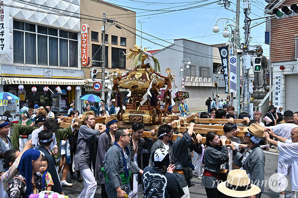 〈八重垣神社祇園祭〉十町神輿連合渡御：仲町区 2025.08.05