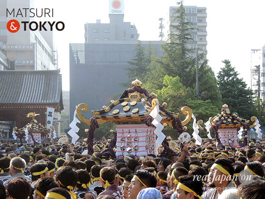 本社神輿･一般宮出し ＠2017.05.21 (snj17-070)