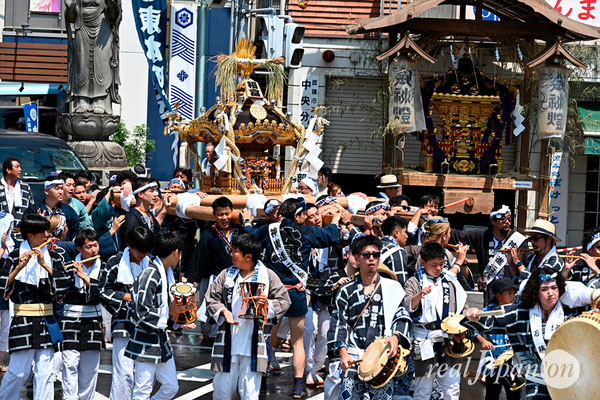 〈八重垣神社祇園祭〉十町神輿連合渡御：福富町区 @2024.08.05