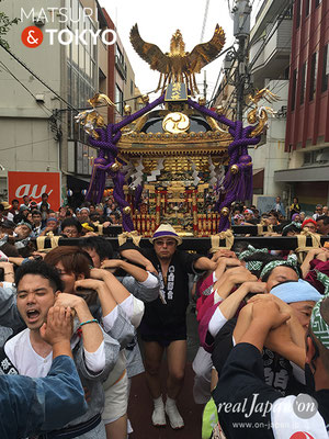 旗岡八幡神社 宮神輿完成披露渡御　2017年7月16日 HHJMM_004