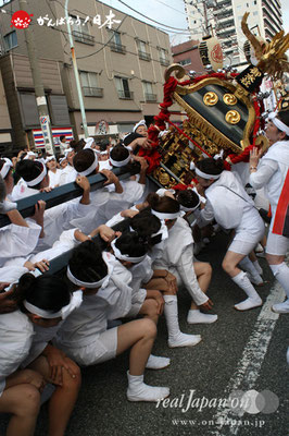 素盞雄神社・天王祭〈本社中神輿・宮入道中〉 ＠2012.06.03