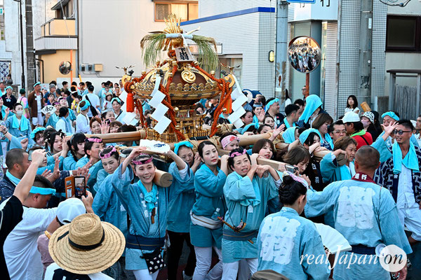 〈八重垣神社祇園祭〉女神輿連合渡御：下出羽区 @2024.08.04