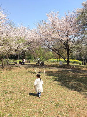 〈s20-039〉たまろさん：お山の上公園／3月21日(土)／横浜