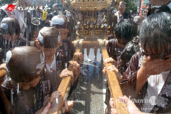 〈深川神明宮例大祭〉神輿連合渡御　子供神輿: 森下五丁目 ＠2012.08.19