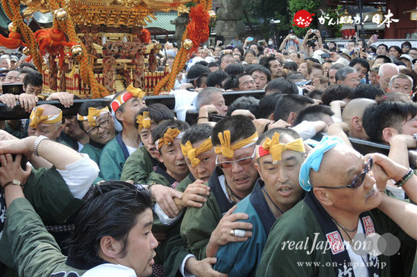 〈神田祭〉 @2013.05.12