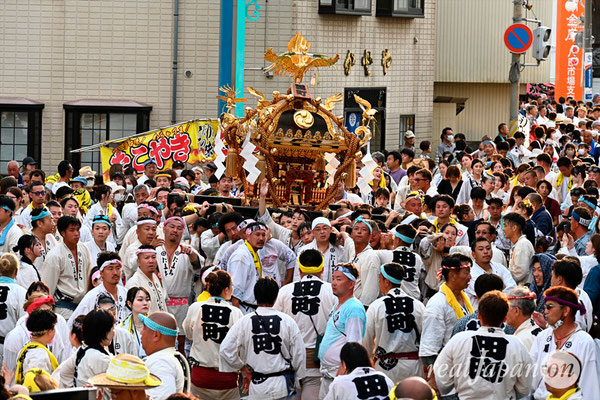 〈八重垣神社祇園祭〉十町神輿連合宮入渡御：田町区 @2024.08.05