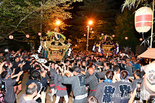 〈八重垣神社祇園祭〉神輿環御宮入：上出羽区 @2024.08.05