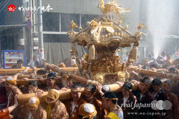 〈深川神明宮例大祭〉神輿連合渡御　五番: 高森 ＠2012.08.19