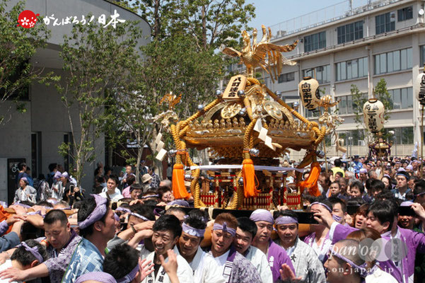〈すみだ区民祝賀パレード〉八番. 八町連合：錦糸一丁目町会/錦糸三和町会/太平一丁目町会/太平二丁目町会/太平三丁目町会/横川一丁目町会/横川二丁目町会/横川三丁目町会（神輿所有：横川二丁目町会）