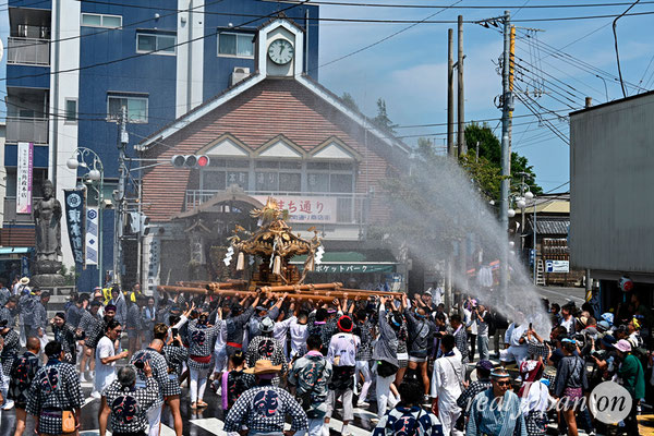 〈八重垣神社祇園祭〉十町神輿連合渡御：萬町区 @2024.08.05