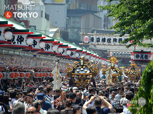 町内神輿連合渡御〈雷門東部／雷門中部／雷門西部〉@2017.05.20 (snj17-024)　ⓒm.kataoka