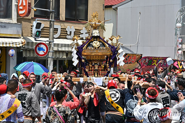 〈八重垣神社祇園祭〉十町神輿連合渡御：西本町区 2025.08.05