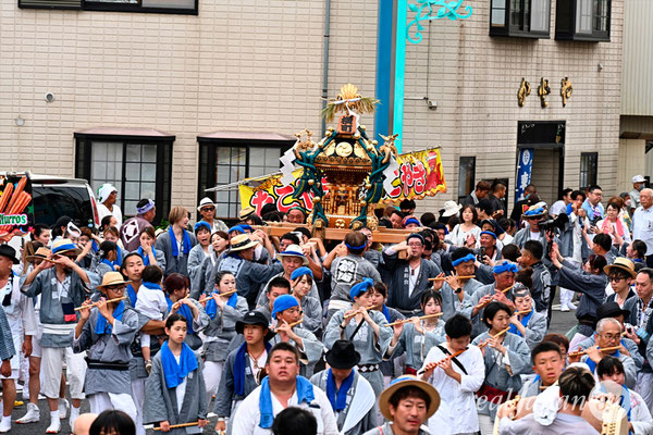 〈八重垣神社祇園祭〉十町神輿連合宮入渡御：横町区 @2024.08.05