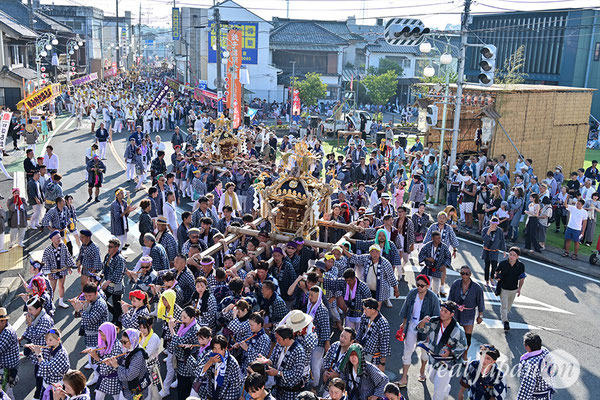 〈八重垣神社祇園祭〉十町神輿連合渡御：萬町区 2025.08.05