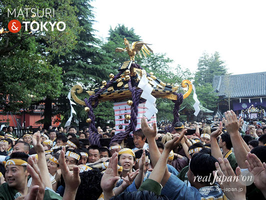 本社神輿一之宮･氏子宮出し(西部) ＠2017.05.21 (snj17-050)