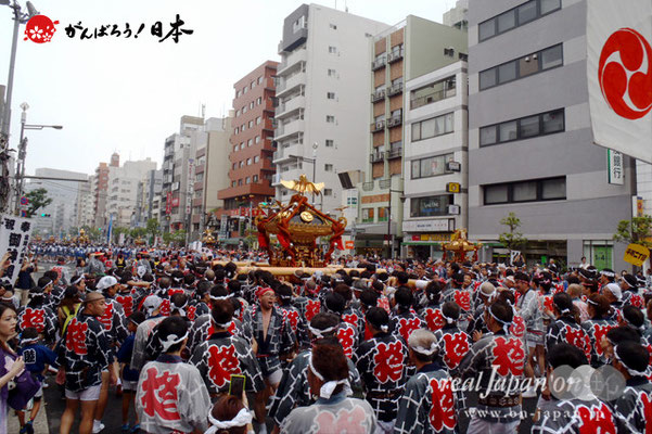 〈富岡八幡宮例大祭〉神輿連合渡御　三十二番: 冬木 ＠2014.08.17