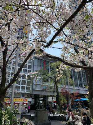 ＜s20-098＞Katsuさん：ハチ公前／4月3日(金)／渋谷駅前