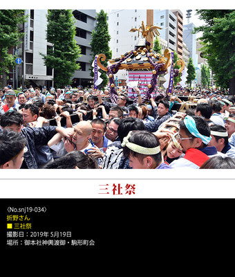 折野さん：三社祭 ,2019年5月19日,駒形町会
