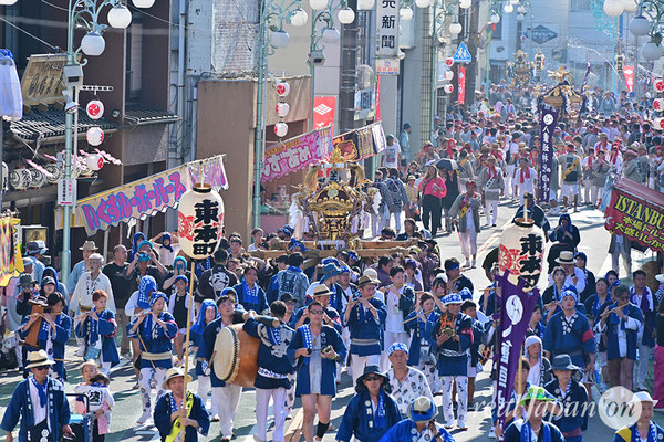 〈八重垣神社祇園祭〉十町神輿連合渡御：東本町区 2025.08.05