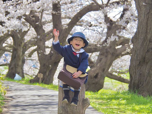 ＜s20-088＞shiho530さん：花咲み(❁´ω`❁)／4月6日(月)／鯖江市