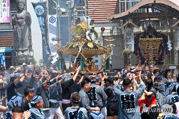 〈八重垣神社祇園祭〉十町神輿連合渡御：上出羽区 @2024.08.05
