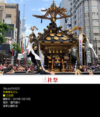 矢崎泰弘さん：三社祭 ,2019年5月19日,浅草公園町会