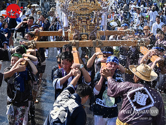 〈八重垣神社祇園祭〉神輿連合渡御：東本町区 @2019.08.05 YEGK19_059