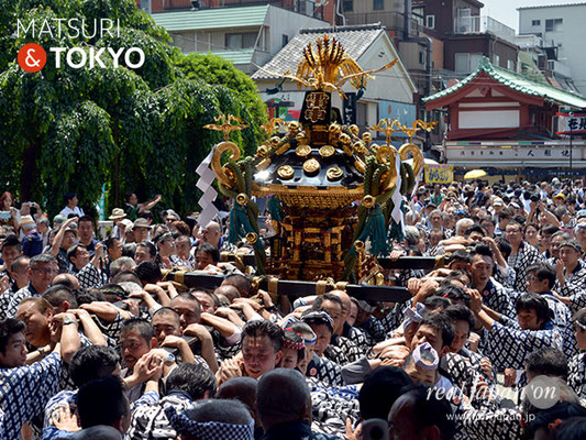 町内神輿連合渡御〈雷門中部〉@2017.05.20 (snj17-025)　ⓒm.kataoka
