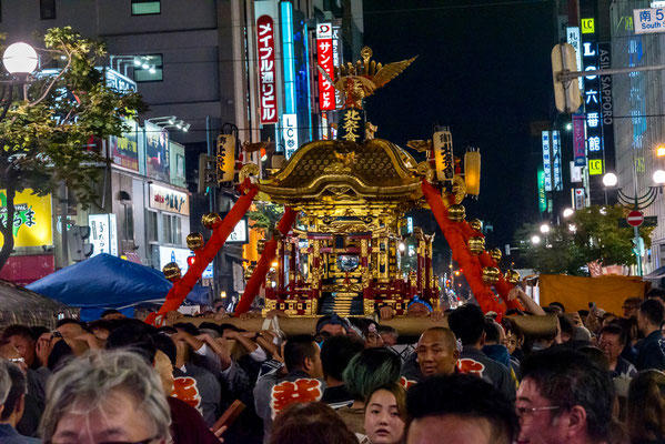 〈No.23036〉はせたくさん<br>すすきの祭り<br>撮影日：2023年8月5日<br>場所：北海道札幌市