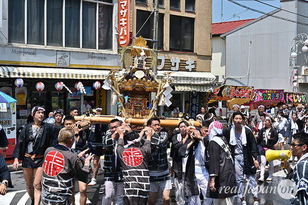 〈八重垣神社祇園祭〉十町神輿連合渡御：福富町区 2025.08.05