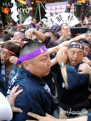 本社神輿三之宮･一般宮出し(東部) ＠2017.05.21 (snj17-076)