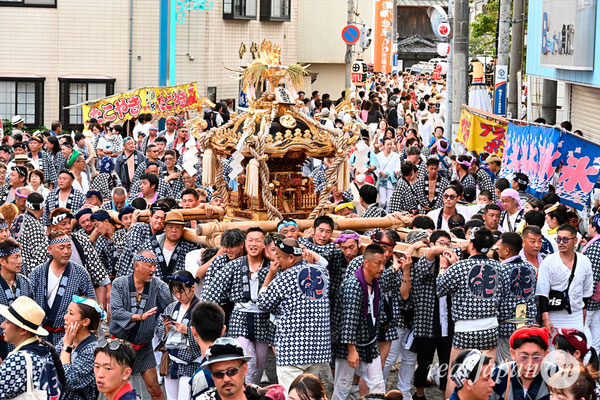 〈八重垣神社祇園祭〉十町神輿連合宮入渡御：萬町区 @2024.08.05