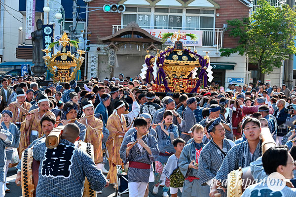 〈八重垣神社祇園祭〉神社神輿発御：上出羽区 @2024.08.04