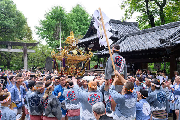 〈U23_035〉リョーイチノコーモトさん<br>牛嶋神社 御鎮座1165年大祭<br>撮影日：2023年9月17日<br>場所：牛嶋神社境内<br>両国一丁目宮入り写真