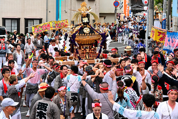 〈八重垣神社祇園祭〉十町神輿連合宮入渡御：西本町区 @2024.08.05